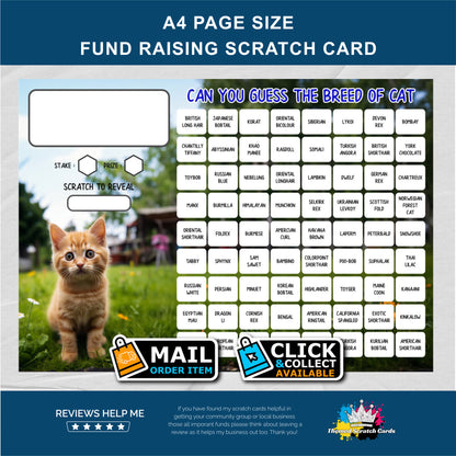 A4 Lucky Number Fundraising Scratch Card Cute Kitten- Local & Community Fund Raising