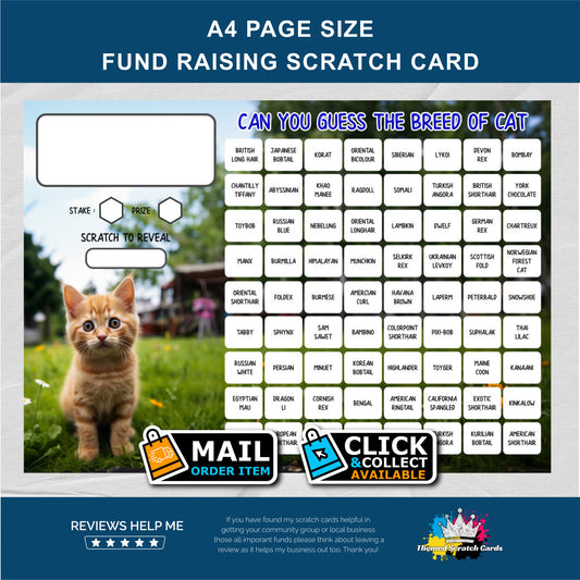A4 Lucky Number Fundraising Scratch Card Cute Kitten- Local & Community Fund Raising